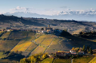 Vineyards of Langhe (Piedmont, Italy) clipart