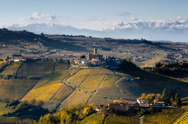 Winnice w Langhe (Piemont, Włochy) — Zdjęcie stockowe