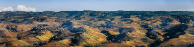 Üzüm bağları, Langhe (Piedmont, İtalya)