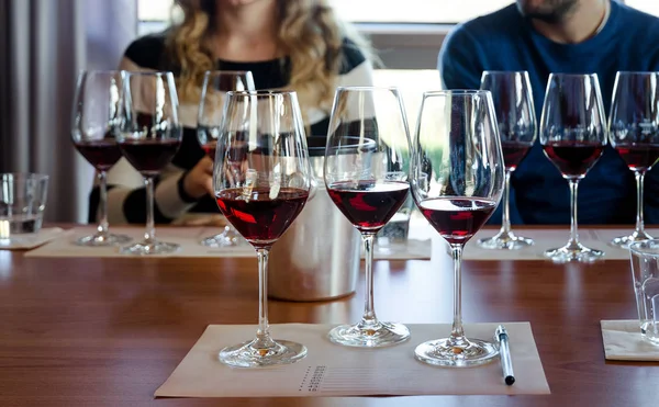 Degustación de vinos en Langhe (Italia) ) — Foto de Stock