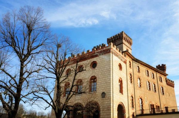 Barolo Castle (Piedmont, İtalya)