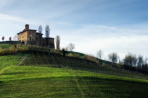 카스텔로 델라 볼타와 포도 (Barolo, 이탈리아) — 스톡 사진