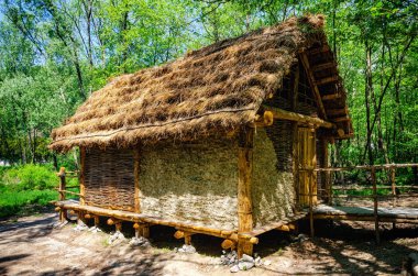 prehistoric palafitte house  clipart