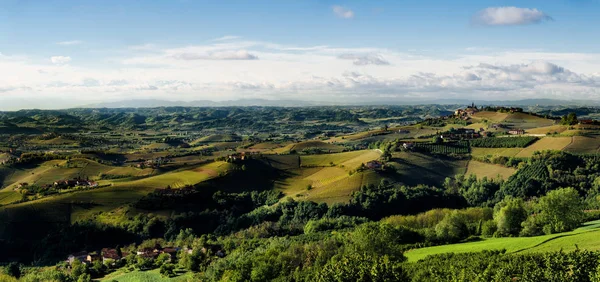 Winnice i wzgórz langhe panorama — Zdjęcie stockowe