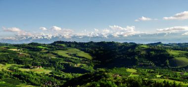 üzüm bağları ve tepeler langhe Panoraması
