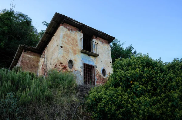 Üzüm bağları içinde terk edilmiş adımız