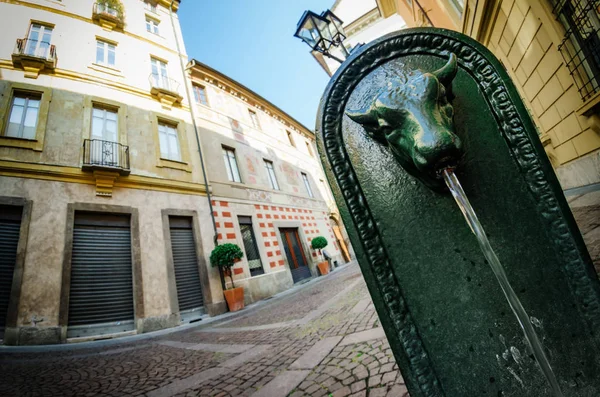 Toret, Turin (İtalya şeklinde tipik boğa Çeşmesi) — Stok fotoğraf