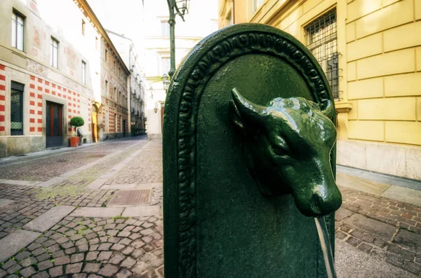 Торет, типичный фонтан в форме быка в Турине (Италия) ) — стоковое фото