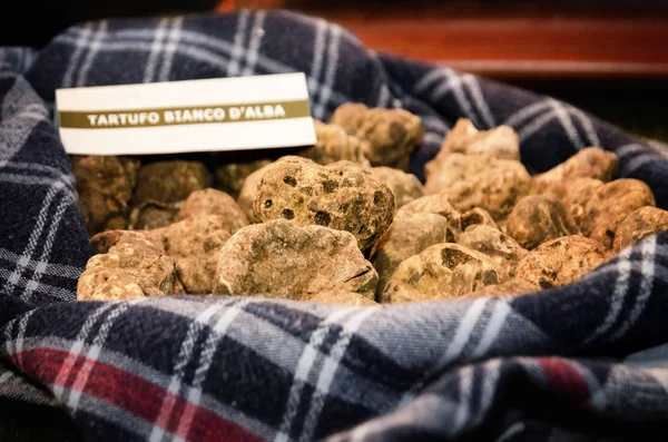 Alba white truffles at the Fiera del Tartufo — Stock Photo, Image