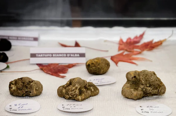 Alba white truffles at the Fiera del Tartufo — Stock Photo, Image