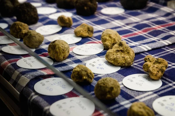 Alba white truffles at the Fiera del Tartufo — Stock Photo, Image