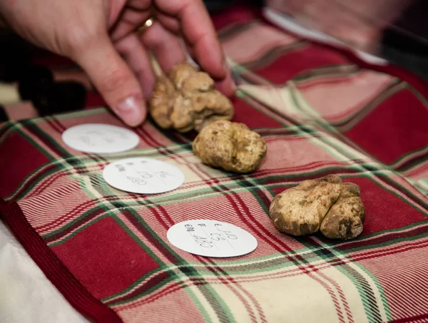 Alba white truffles at the Fiera del Tartufo — Stock Photo, Image