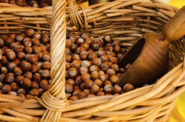 Tonda Gentile di Langa, hazelnut of Piedmont — Stock Photo, Image