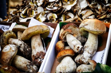 bir pazar ahır tarihinde mantarlar