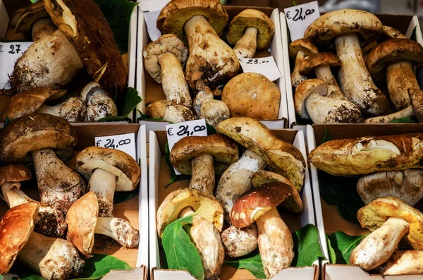 Mushrooms on a market stall — Stock Photo, Image