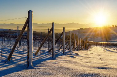 Kış günbatımı üzerinde Barolo (Langhe, Piedmont, Ita üzüm bağları
