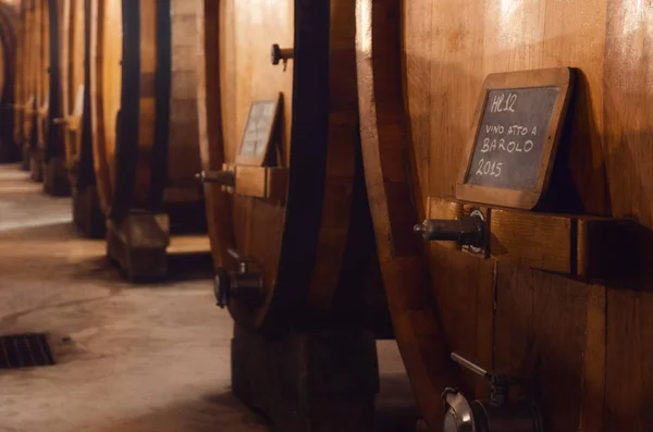 Історичний льох для старіння барокового вина — стокове фото