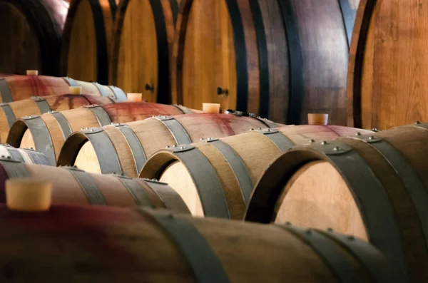 피에몬테 (이탈리아의 역사적인 와인 저장 고에서 barriques) — 스톡 사진