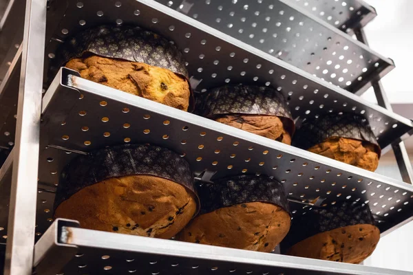 Panettone Chirstmas Traditionnel Italien Placé Dans Une Étagère Métallique Envers — Photo