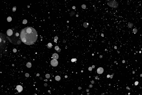 Falling snowflakes isolated on black background - Design element — Stock Photo, Image