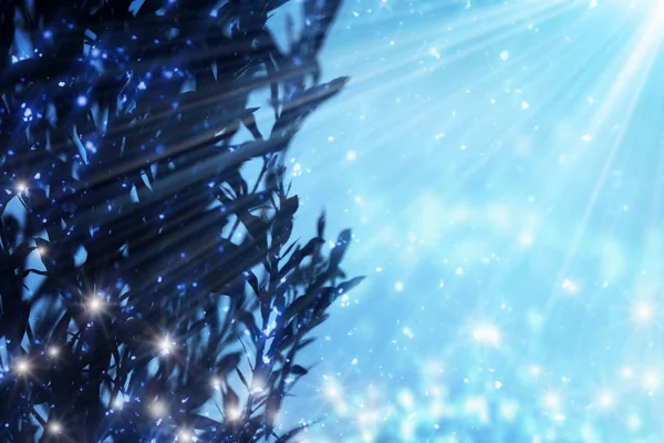 Silueta del arbusto en el fondo de la nieve de Navidad a la luz de la luna. Luces de purpurina o bokeh — Foto de Stock
