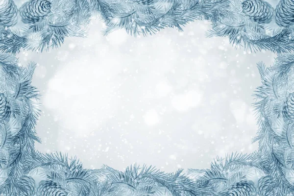 クリスマスお祝いデザインの招待状や挨拶。青いトウヒ、松、ヒノキ、杉、モミ、ジュニパー。メリー クリスマス テンプレート。雪やボケ味のサークル ライト粒子 — ストック写真