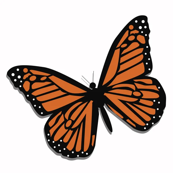 Ikona krásného motýla na bílém pozadí. — Stockový vektor