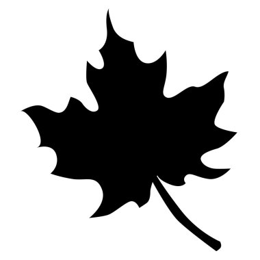 beyaz bir arka plan üzerinde siyah simge akçaağaç yaprağı. 