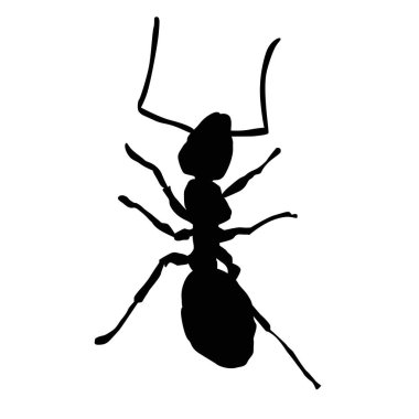 Beyaz bir arka plan üzerinde simge böcek karınca. 