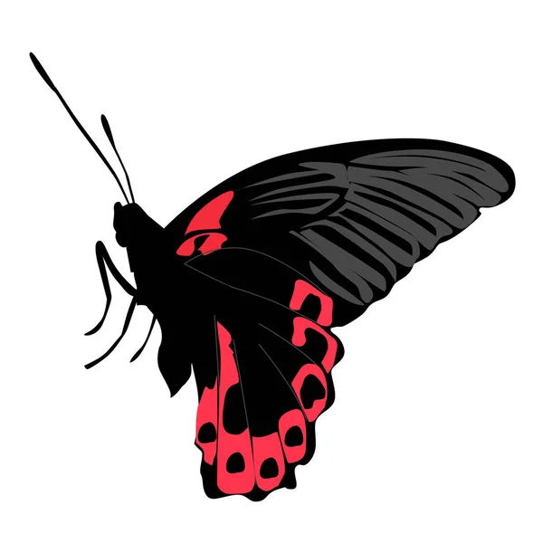 Цветная икона красивая черно-розовая бабочка на белой спине — стоковый вектор
