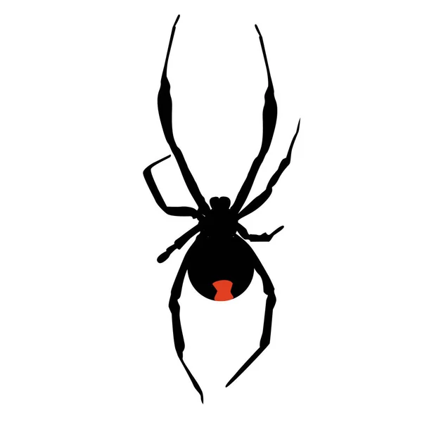 Silhueta ícone de uma aranha viúva negra venenosa. Modelo vect — Vetor de Stock