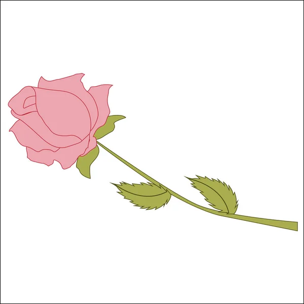 Colored icon flower pink rose on a white background. pattern for — Stock Vector