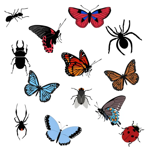 Sada barevných ikon hmyzu. sbírka motýlů, brouků — Stockový vektor