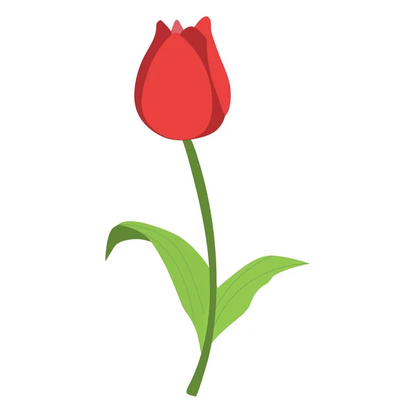Иконка цветок красный Тюльпан с листвы на белом фоне. templa — стоковый вектор