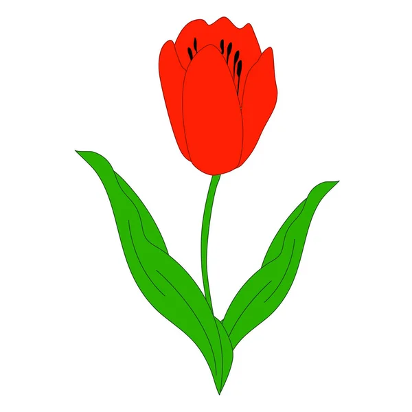 Ícone flor vermelho tulipa com folhagem sobre um fundo branco. templa —  Vetores de Stock