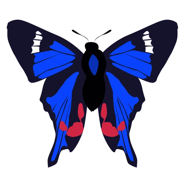 Красивая цветная икона голубая бабочка на белом фоне. vec — стоковый вектор