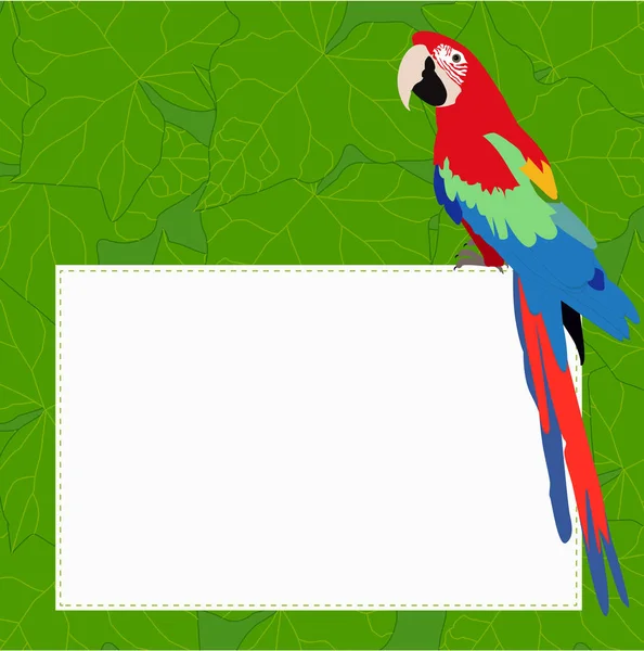 Marco rectangular con un hermoso loro Ara sobre un fondo verde — Vector de stock