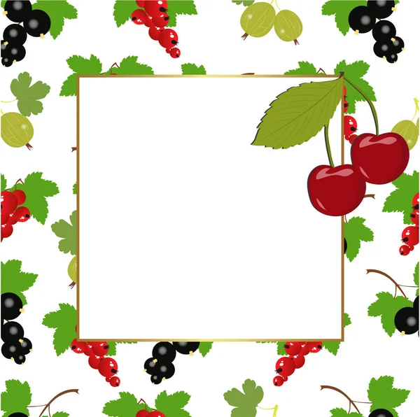Quadratischer Rahmen mit Beeren. Rote Johannisbeeren, schwarze Johannisbeeren, Stachelbeeren — Stockvektor