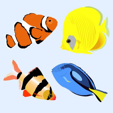 deniz akvaryum balık ayarlayın. Sticker rozetleri ve l topluluğu