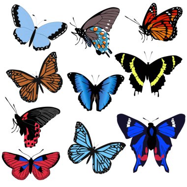 güzel kelebek beyaz arka plan üzerinde ayarlayın. sopa topluluğu