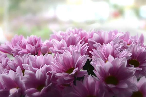 Художественный Цветочный Фон Фиолетовыми Хризантемы Ромашки Цветы — стоковое фото