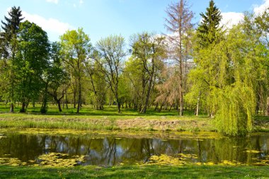 Yazın bir nehri olan parkın güzel manzarası