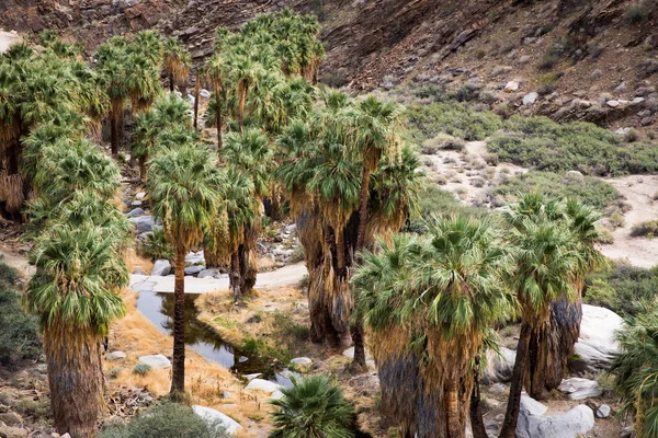 Indian Garden Valley — Fotografia de Stock