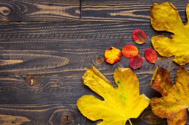 Ahşap arka plan üzerinde renkli sonbahar yaprakları