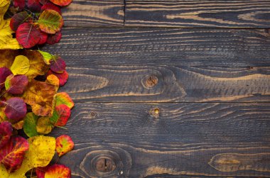 Ahşap arka plan üzerinde renkli sonbahar yaprakları