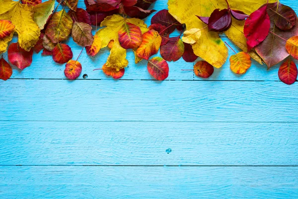 Ahşap arka plan üzerinde renkli sonbahar yaprakları — Stok fotoğraf