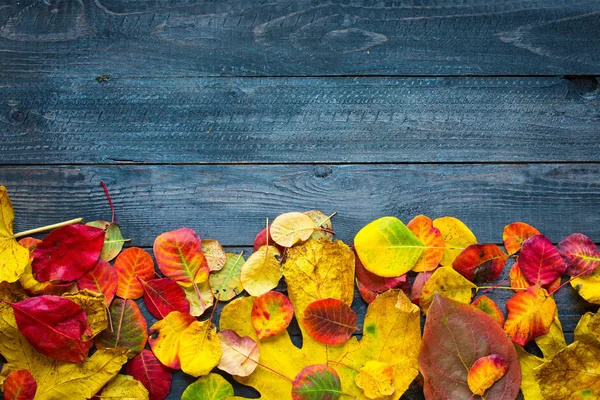 Ahşap arka plan üzerinde renkli sonbahar yaprakları — Stok fotoğraf