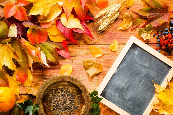 Şükran günü, arka plan sonbahar yaprakları