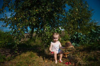 Kırmızı elma ile bir sepet ile'nın bahçesinde oynayan sarışın kız