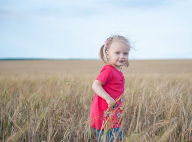 Çavdar olan bir alana bir çocuk oynar